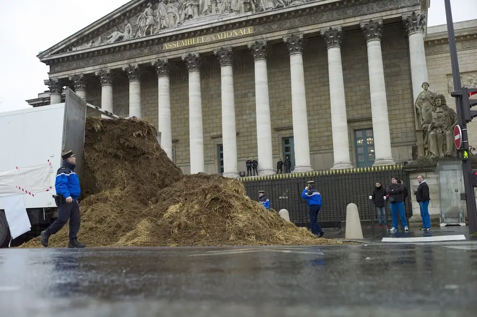 Sterco di cavallo scaricato fuori dall'edificio del parlamento a Parigi nel gennaio 2014