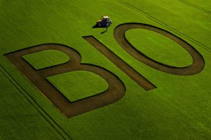 biologico Farm to Fork