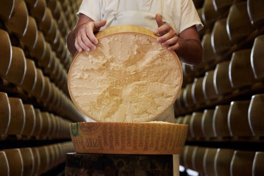 Taglio della forma di parmigiano reggiano|bambini-in-caseificio|||Forme di parmigiano Reggiano Malandrone|||Pressatura delle forme||Aperitivo con parmigiano reggiano||"Espertizzazione” con il martelletto||Taglio in due della cagliata di parmigiano reggiano||
