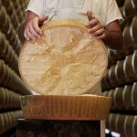 Taglio della forma di parmigiano reggiano|bambini-in-caseificio|||Forme di parmigiano Reggiano Malandrone|||Pressatura delle forme||Aperitivo con parmigiano reggiano||"Espertizzazione” con il martelletto||Taglio in due della cagliata di parmigiano reggiano||