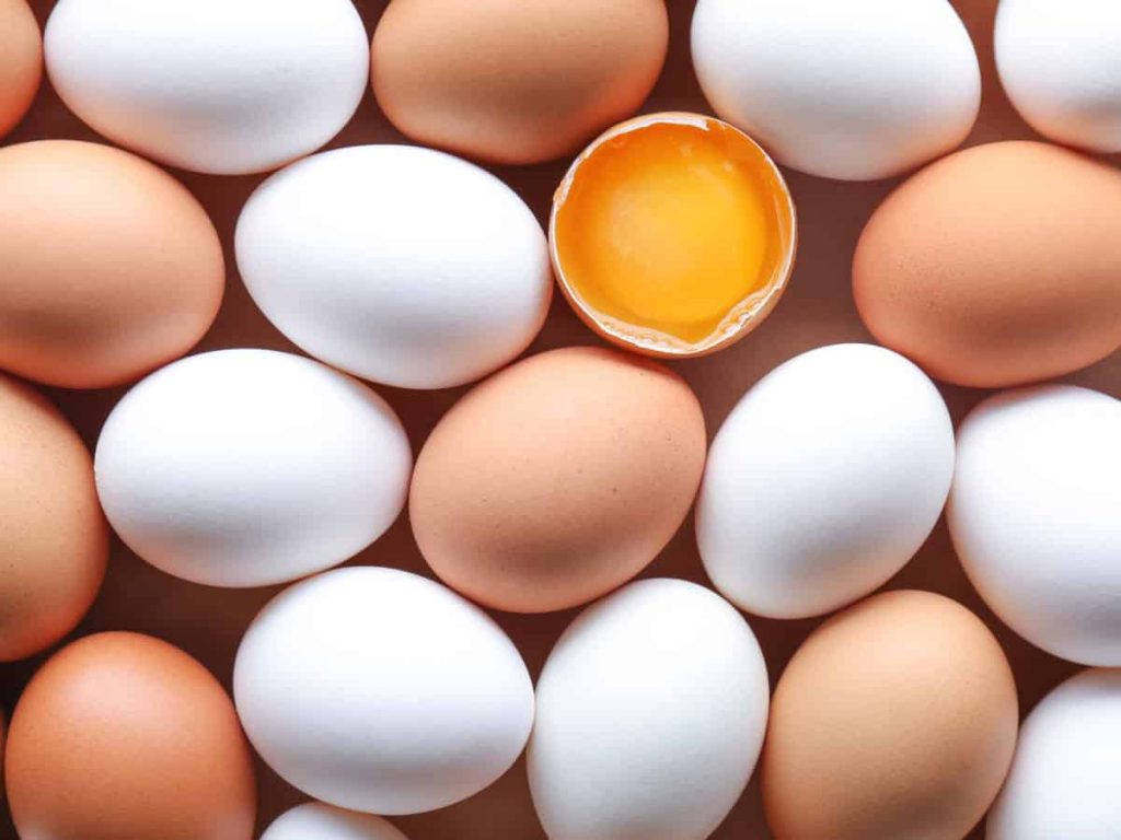 |egg spoon di Alice Waters