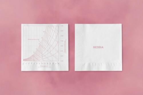NEBBIA napkin pink-1024x683